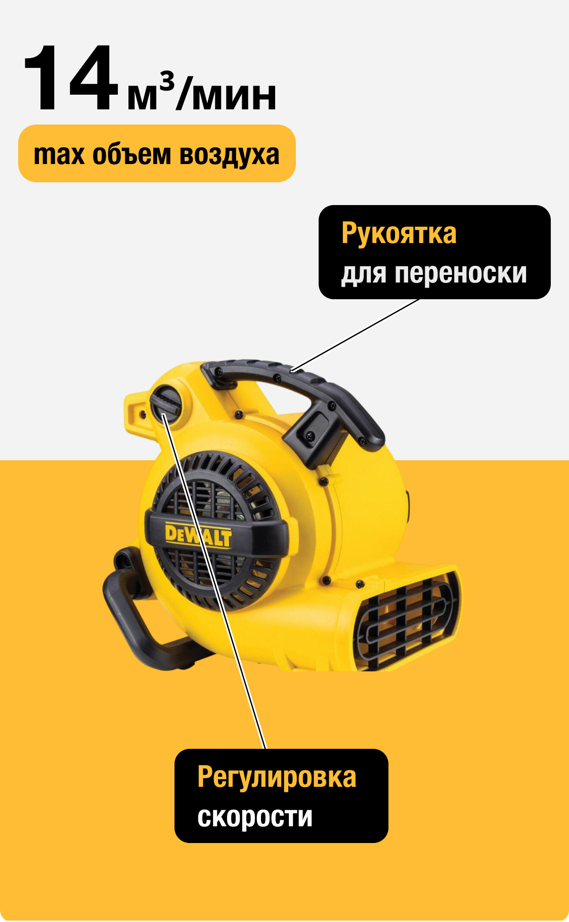 DXAM2250