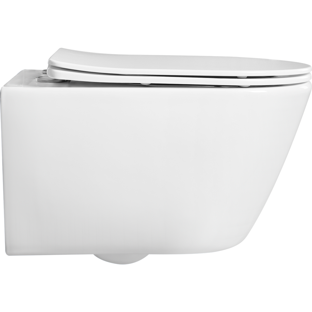 Унитаз Aquatek БЕТТА подвесной с сиденьем с микролифтом, белый AQ1253W-00