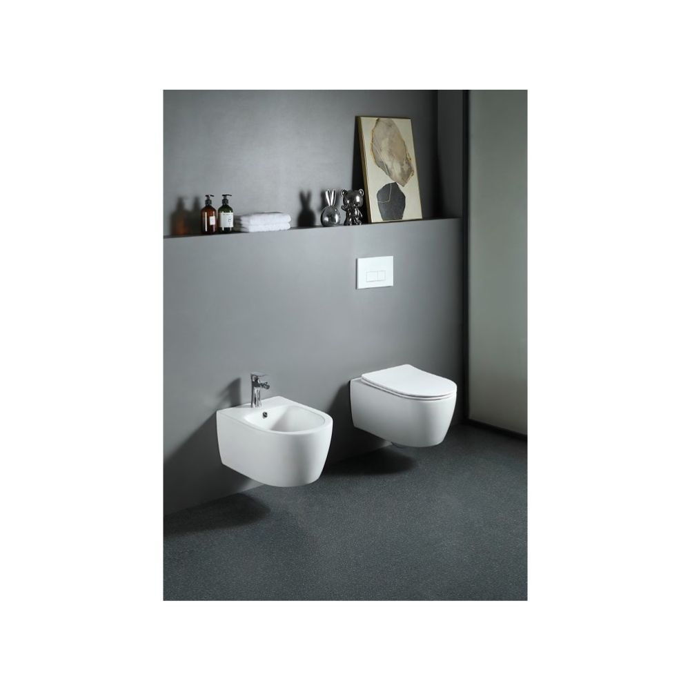 Унитаз Aquatek ЕВРОПА подвесной с сиденьем с микролифтом, белый AQ1106-00