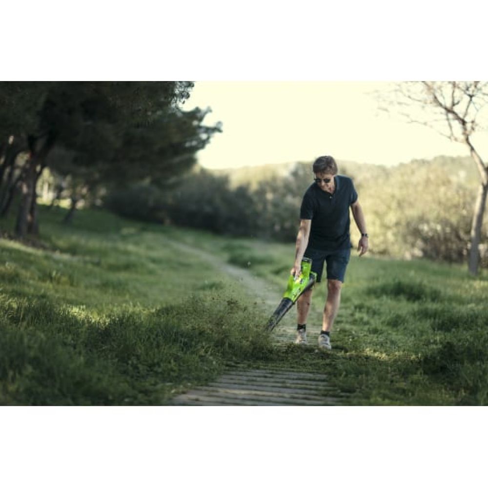 Воздуходувка Greenworks G40AB 40V, без АКБ и ЗУ, (2400807)