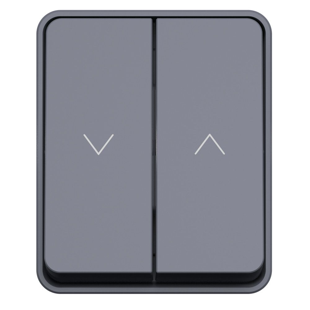 Выключатель для жалюзи 2-клавишный Systeme Electric (Schneider Electric) Atlas Design Profi 10А, антрацит ATN544019