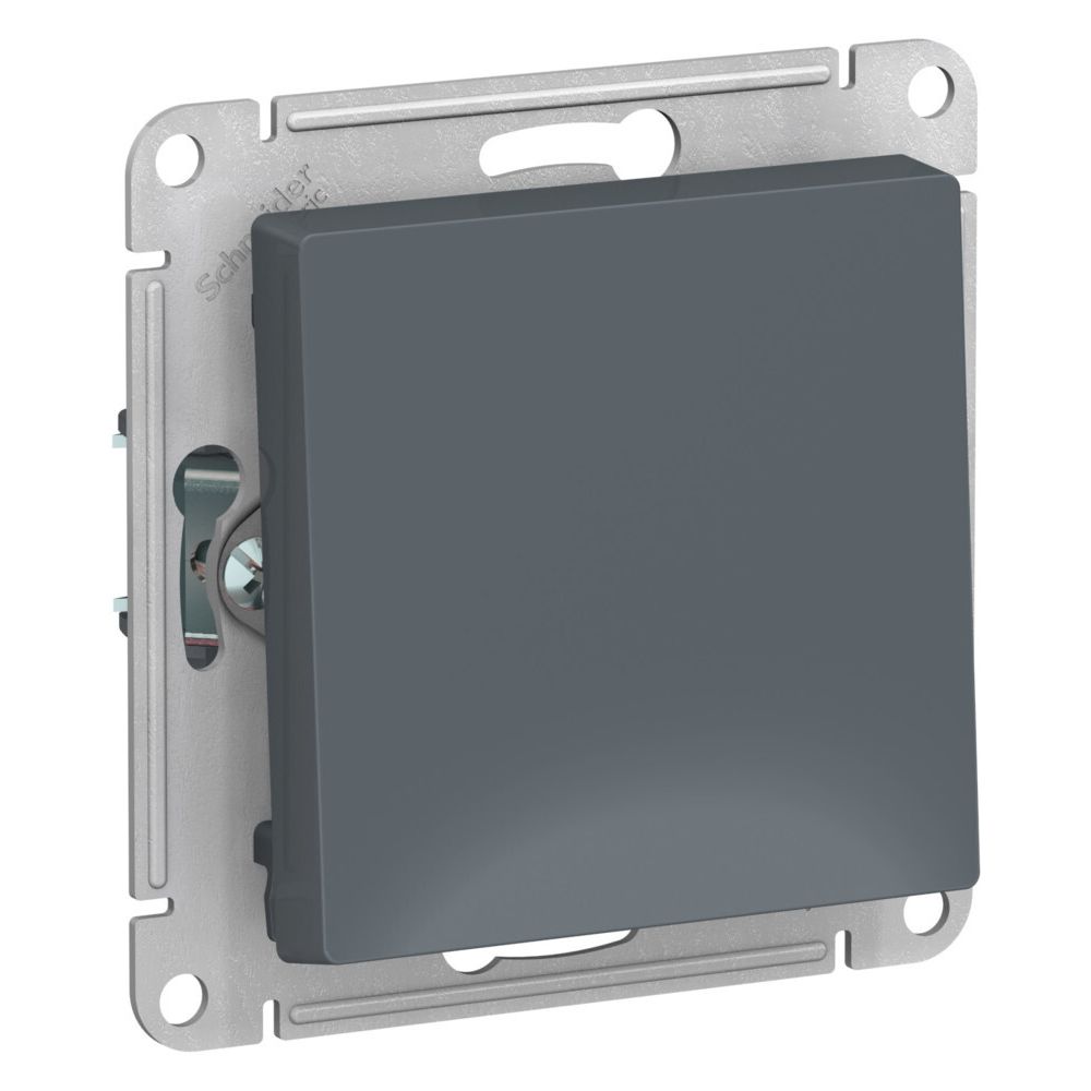 Выключатель 1-клавишный 2-полюсный Systeme Electric (Schneider Electric) Atlas Design 10А, грифель ATN000721