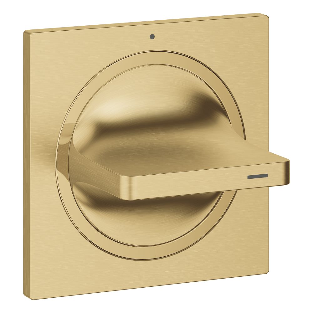 Внешняя часть вентиля GROHE Allure, холодный рассвет матовый (19334GN1)