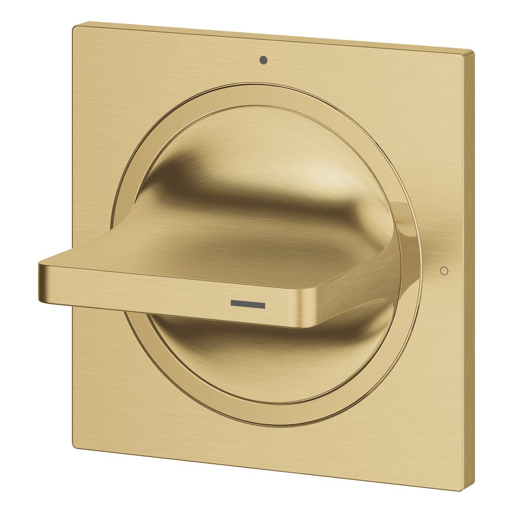 Внешняя часть вентиля GROHE Allure, холодный рассвет матовый (19334GN1)