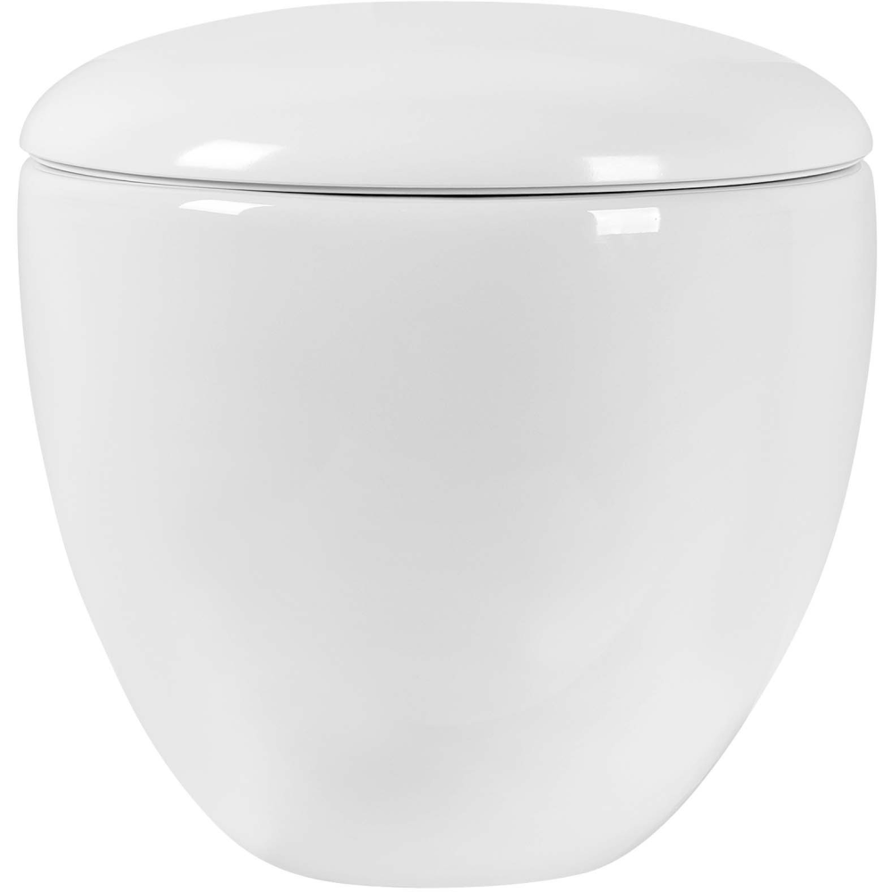 Унитаз Aquatek АЛЬТАИР подвесной с сиденьем с микролифтом, белый AQ1980-00