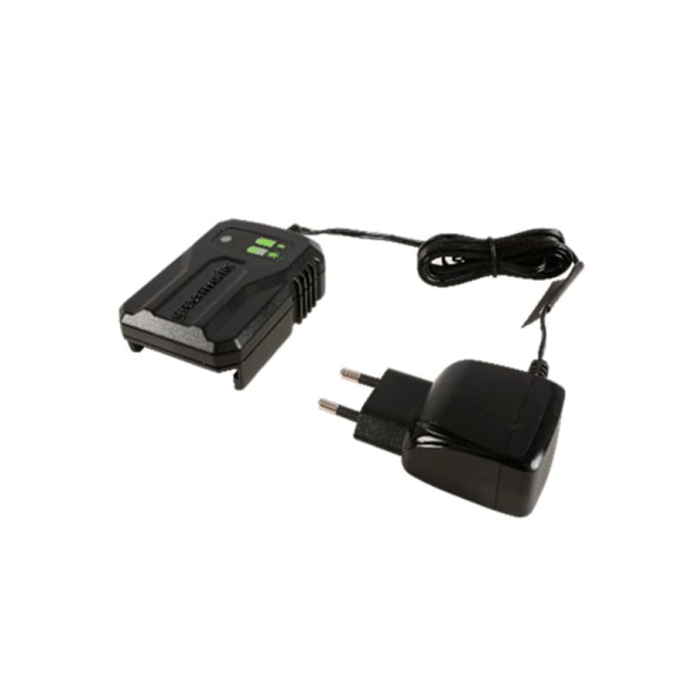 Зарядное устройство Greenworks, 60 В, 2 А, 2932007