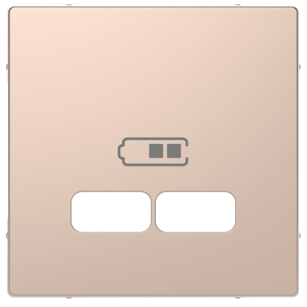 Лицевая панель для USB механизма 2.1 А Merten D-Life Schneider Electric белый шампань MTN4367-6051