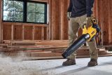 Аккумуляторный набор садовой техники DEWALT, 18 В: мойка высокого давления DCMPW1600 + воздуходувка DCMBL562, с 2 АКБ 5 Ач и ЗУ