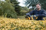 Аккумуляторный набор садовой техники DEWALT, 18 В: воздуходувка DCV100 + кусторез DCMHT564, с 2 АКБ 5 Ач без ЗУ