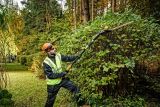 Аккумуляторный набор садовой техники DEWALT, 18 В: кусторез-высоторез DCMPH566 + триммер DCMST561, с АКБ 5 Ач и ЗУ