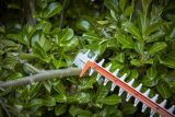 Кусторез BLACK+DECKER, 650 Вт, 60 см, BEHTS551