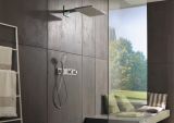 Ручной душ hansgrohe Raindance Select S 120 3jet 26530400, белый/хром