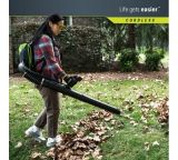 Ранцевый воздуходув, аккумуляторный Greenworks, 60V, бесщеточный, без АКБ и ЗУ, 2402307