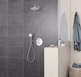 Верхний душ GROHE Tempesta 250, 9,5 л/мин, 1 режим, 380 мм, хром/белый (26668000)