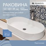 Раковина накладная Aqueduto ESPIRAL, овальная 390*600, белый глянцевый (ESP0210)