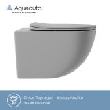 Унитаз подвесной Aqueduto OVO 525*360 безободковый, сиденье с микролифтом, серый матовый (OVOT2130)