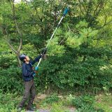 Аккумуляторный сучкорез-высоторез Makita DUA200RF01, 18 В, 20 см, 6.7 м/с, с АКБ 3 Ач и ЗУ