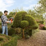 Кусторез BLACK+DECKER, 450 Вт, 50 см, BEHT251