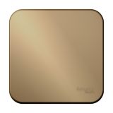 Одноклавишный выключатель с самовозвратом с изолирующей пластиной 10А 250В Systeme Electric (Schneider Electric) Blanca BLNCA101014, Титан