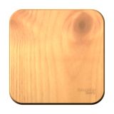 Одноклавишный выключатель с изолирующей пластиной 10А 250В Systeme Electric (Schneider Electric) Blanca BLNVA101015, Ясень