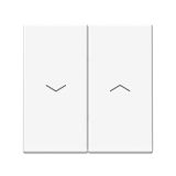 Выключатель 2-клавишный для жалюзи Systeme Electric (Schneider Electric) ArtGallery, 10А, лотос, GAL001319