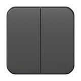 Двухклавишный выключатель 10А 250В Systeme Electric (Schneider Electric) Blanca BLNVA105006, Антрацит