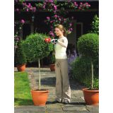 Аккумуляторный кусторез BLACK+DECKER, 3.6 В, 15 см, с встроенной АКБ 1.1 Ач и ЗУ, GSL300