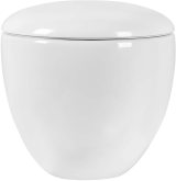 Унитаз Aquatek АЛЬТАИР подвесной с сиденьем с микролифтом, белый AQ1980-00