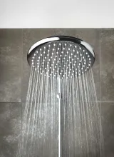 Верхний душ GROHE Tempesta 250, 1 режим, хром (26662000)