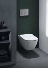 Клавиша смыва Geberit Sigma20, лакированный матовый хром, 115.882.JQ.1