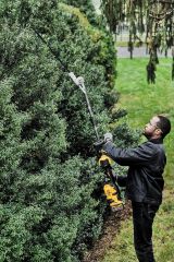 Насадка-кусторез высотный DEWALT DCMASPH6N, для привода DCMAS5713, (DCMASPH6N-XJ)