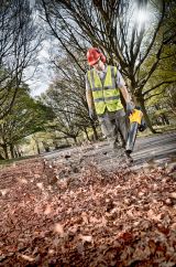 Аккумуляторный воздуходув DEWALT DCM562P1, XR, 18 В