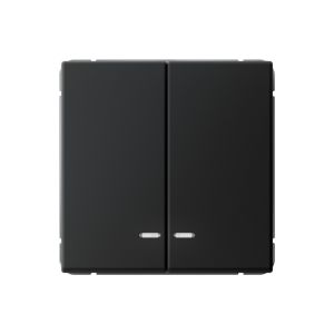 Выключатель 2-клавишный с подсветкой Systeme Electric (Schneider Electric) ArtGallery, 10А, карбон, GAL001053